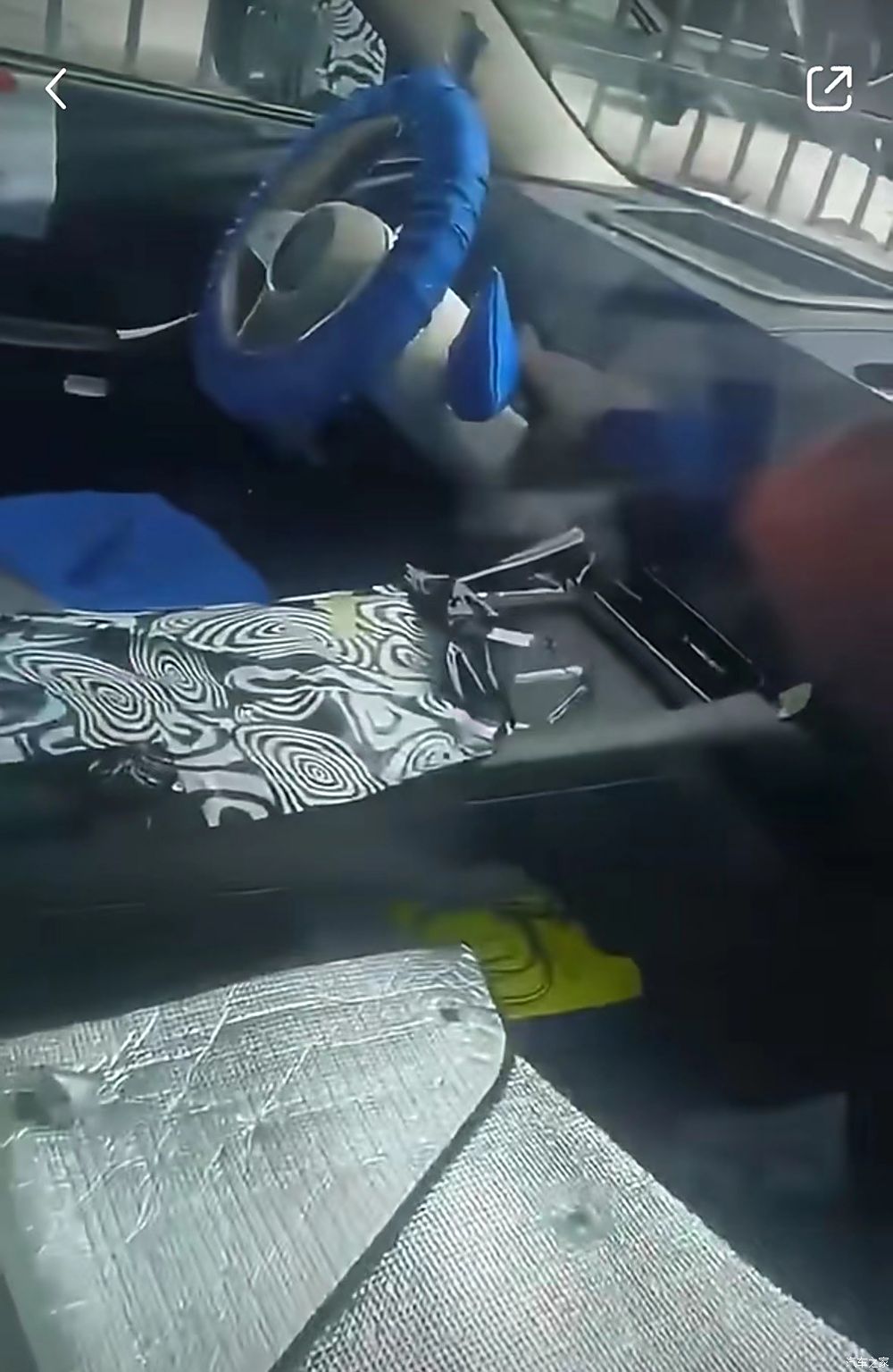 ChinaAutoInfo